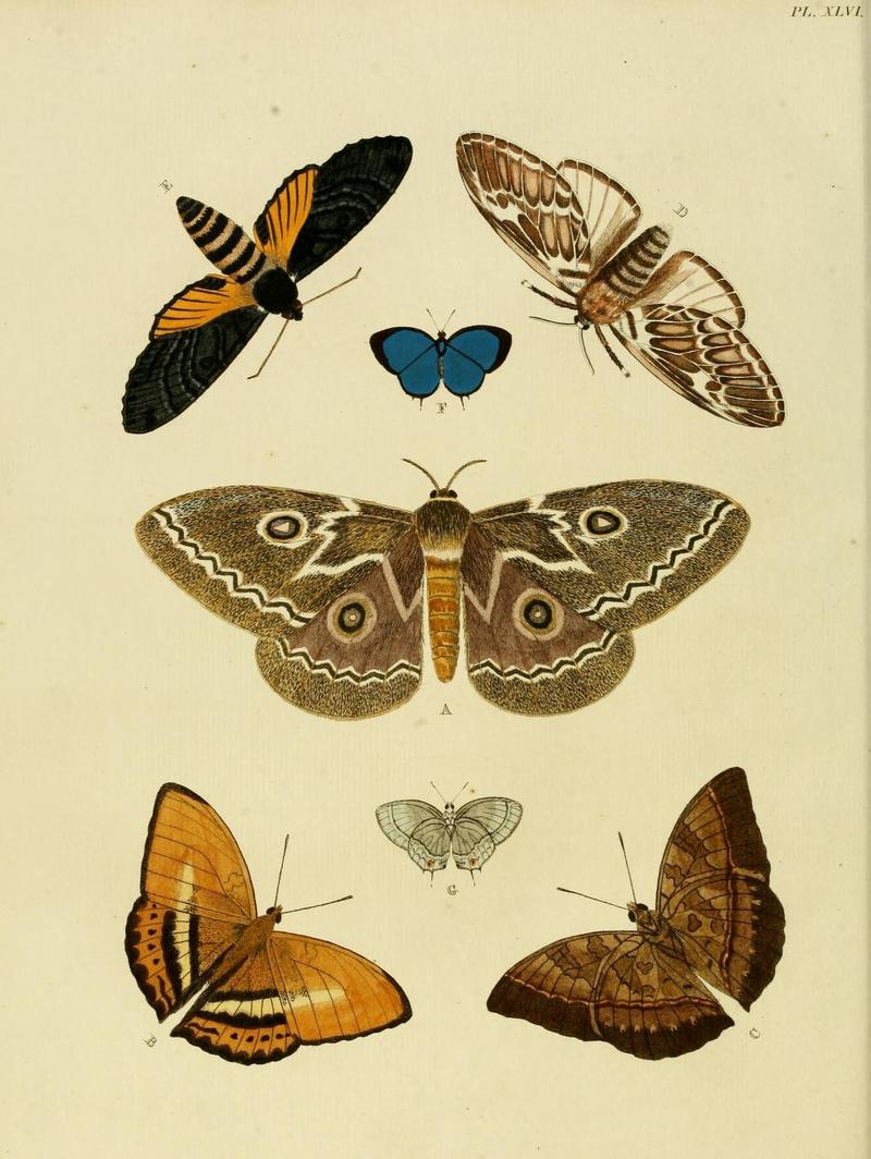 Aanhangsel van het werk, De uitlandsche kapellen (Pl. XLVI) (8220183299)