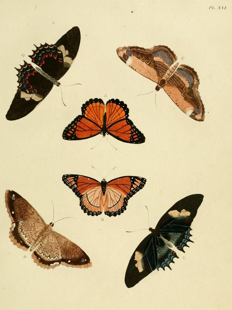 Aanhangsel van het werk, De uitlandsche kapellen (Pl. XVI) (8221250976)