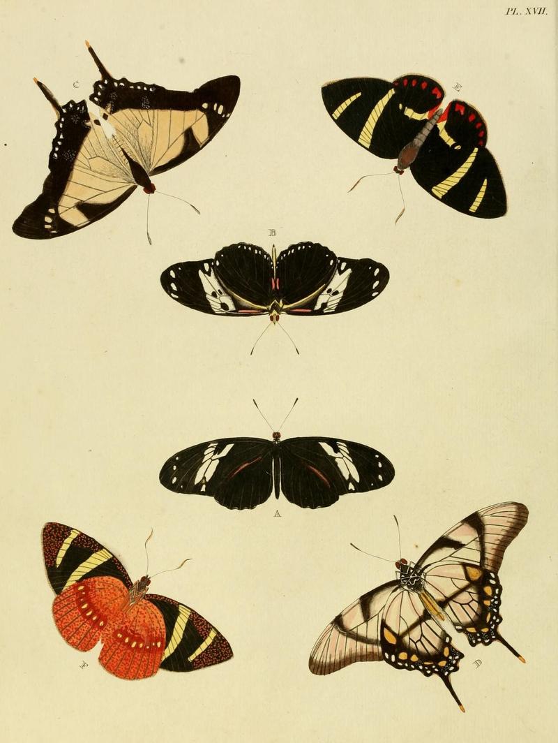 Aanhangsel van het werk, De uitlandsche kapellen (Pl. XVII) (8221251418)