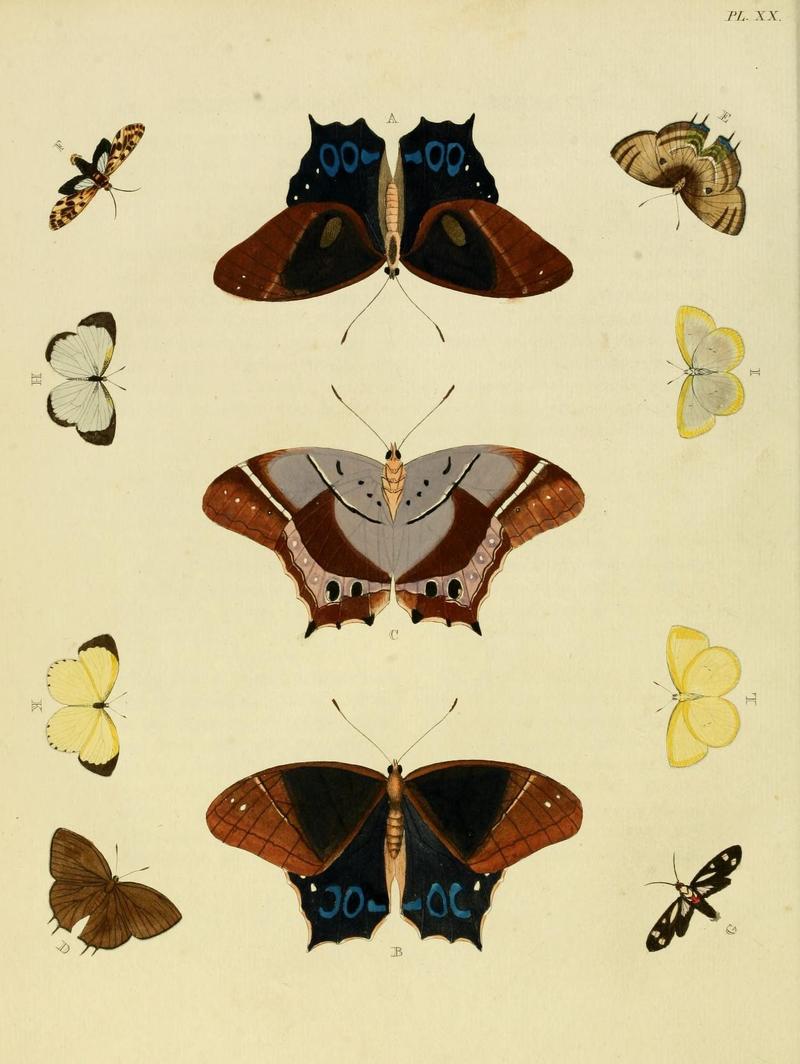 Aanhangsel van het werk, De uitlandsche kapellen (Pl. XX) (8220172243)