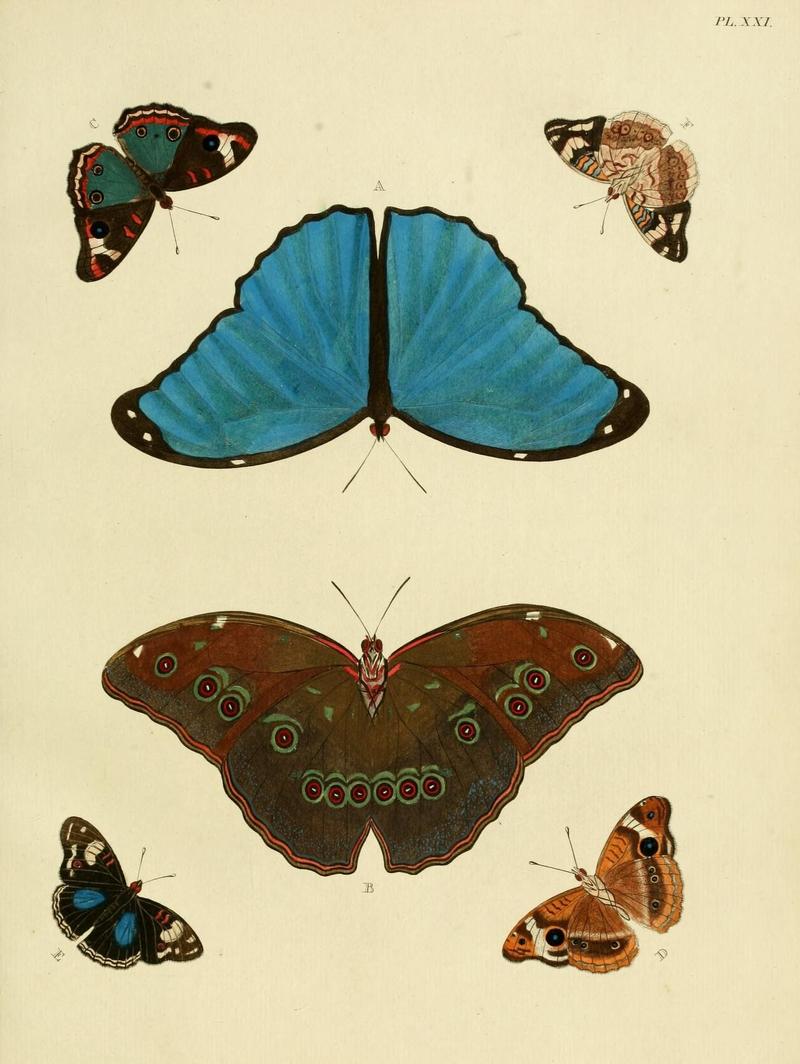 Aanhangsel van het werk, De uitlandsche kapellen (Pl. XXI) (8221253380)