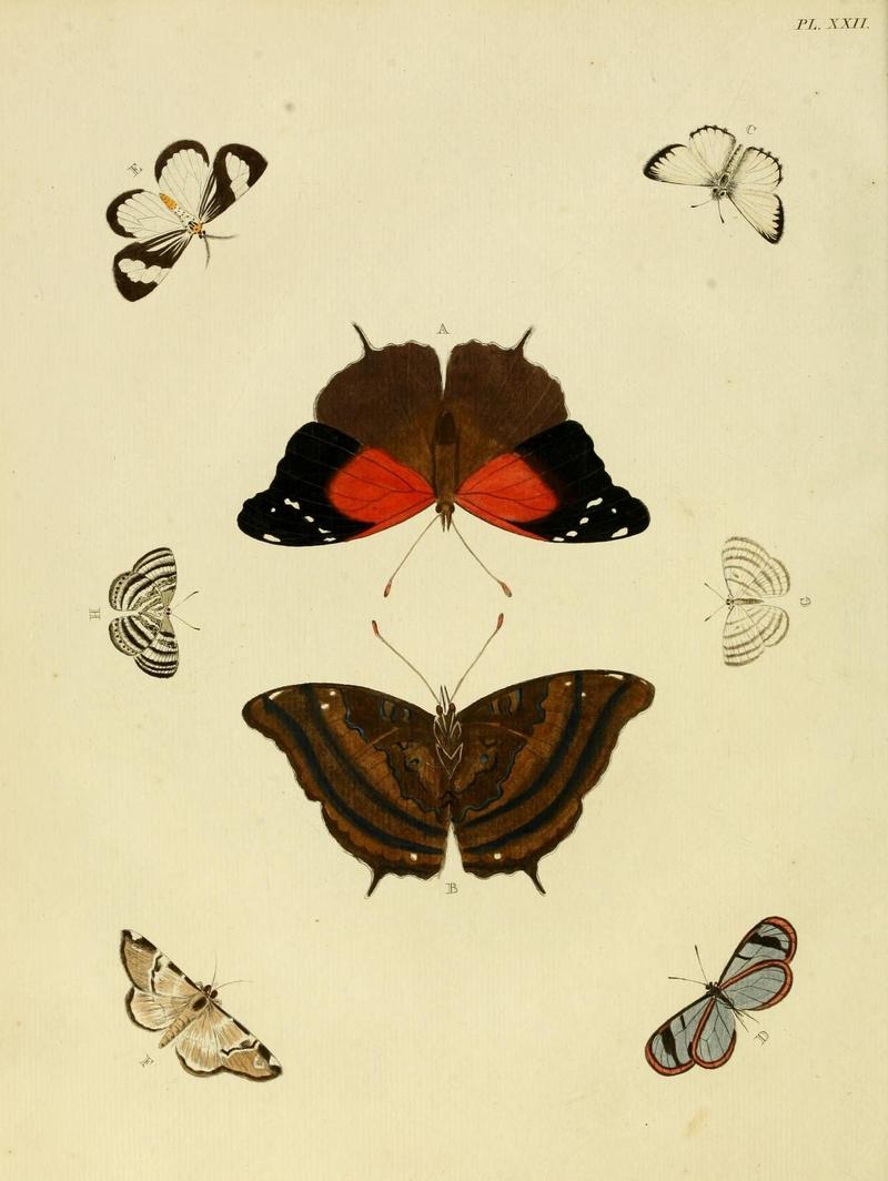 Aanhangsel van het werk, De uitlandsche kapellen (Pl. XXII) (8220173213)