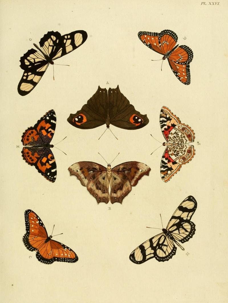 Aanhangsel van het werk, De uitlandsche kapellen (Pl. XXVI) (8221255470)