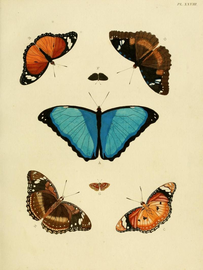 Aanhangsel van het werk, De uitlandsche kapellen (Pl. XXVIII) (8221256112)