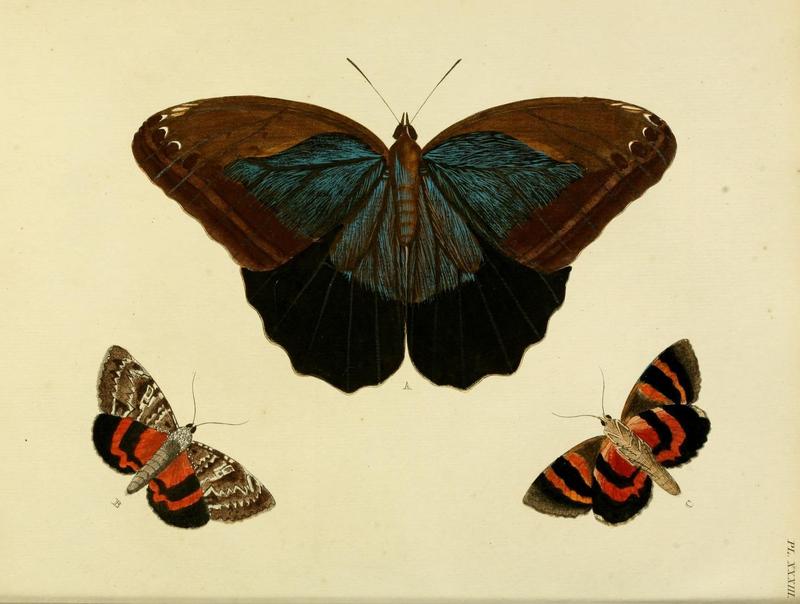 Aanhangsel van het werk, De uitlandsche kapellen (Pl. XXXIII) (8220177963)