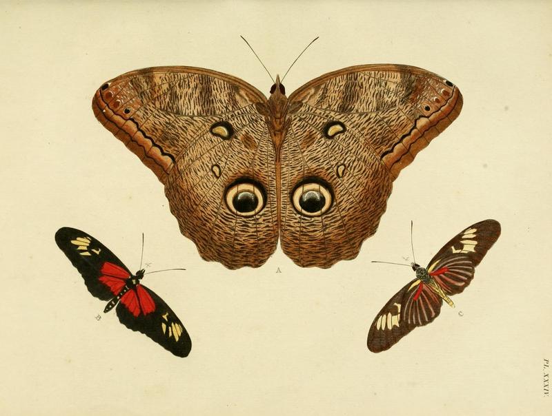 Aanhangsel van het werk, De uitlandsche kapellen (Pl. XXXIV) (8220178395)