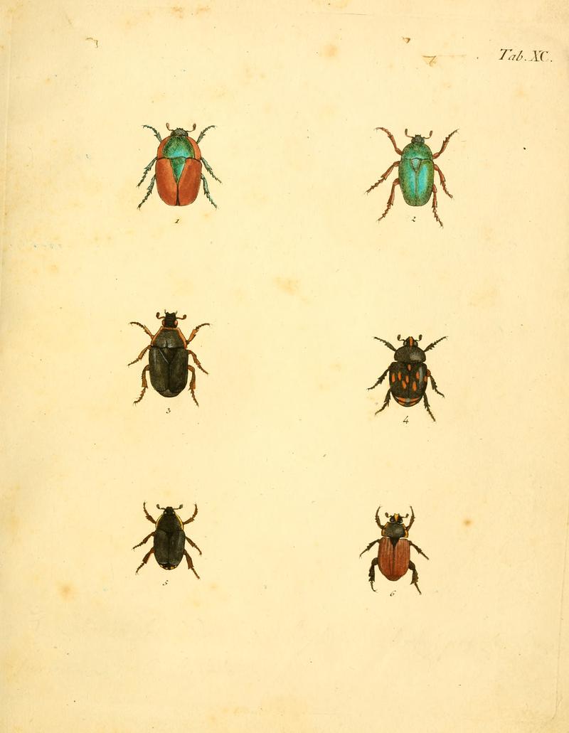 Abbildungenzukar00stur 0363