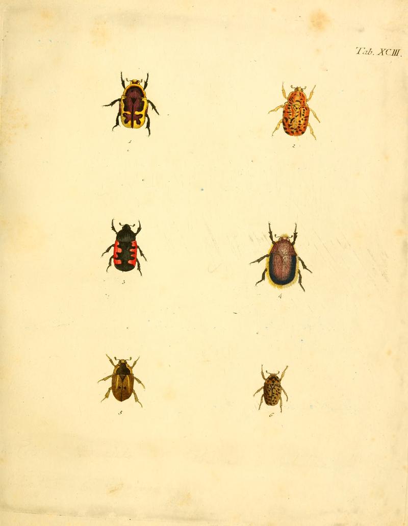 Abbildungenzukar00stur 0375