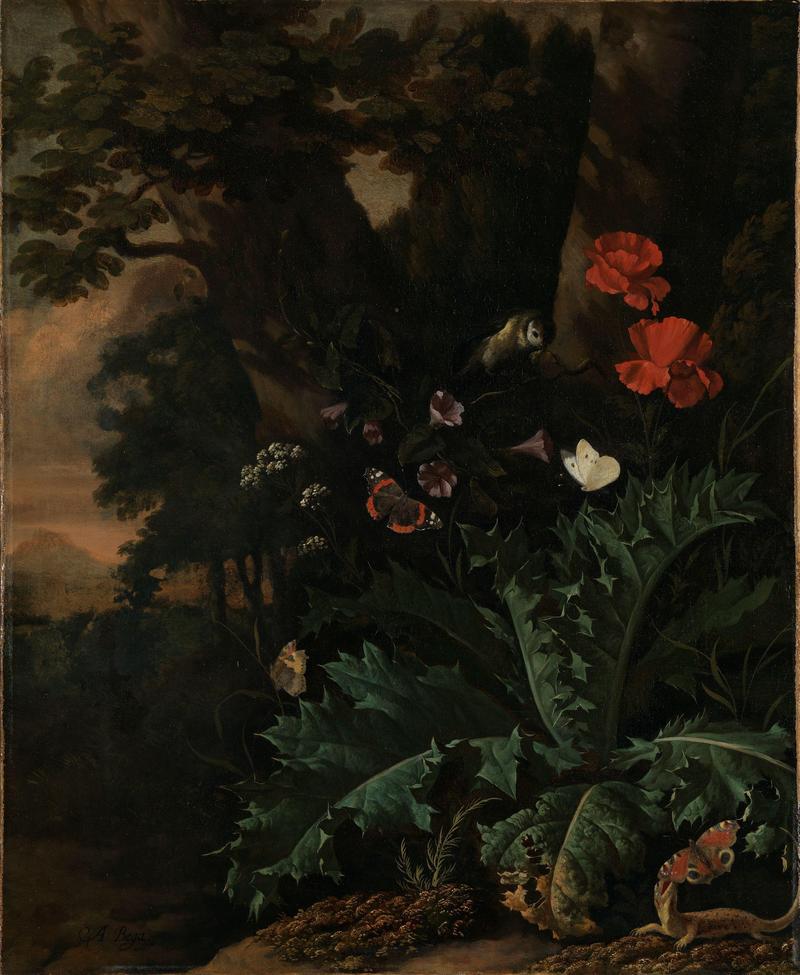 Norwegian Bokmål: Sommerfugler og blomster Butterflies and Flowers title QS:P1476,nb:"Sommerfugler og blomster " label QS:Lnb,"Sommerfugler og blomster " label QS:Len,"Butterflies and Flowers"