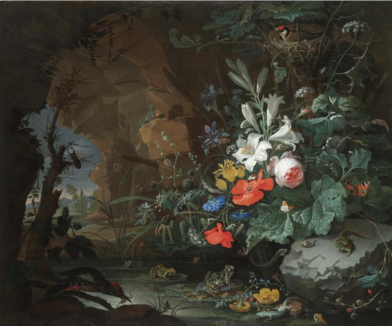 Interior of a grotto with a rock-pool, frogs, salamanders and a bird's nest label QS:Len,"Interior of a grotto with a rock-pool, frogs, salamanders and a bird's nest"