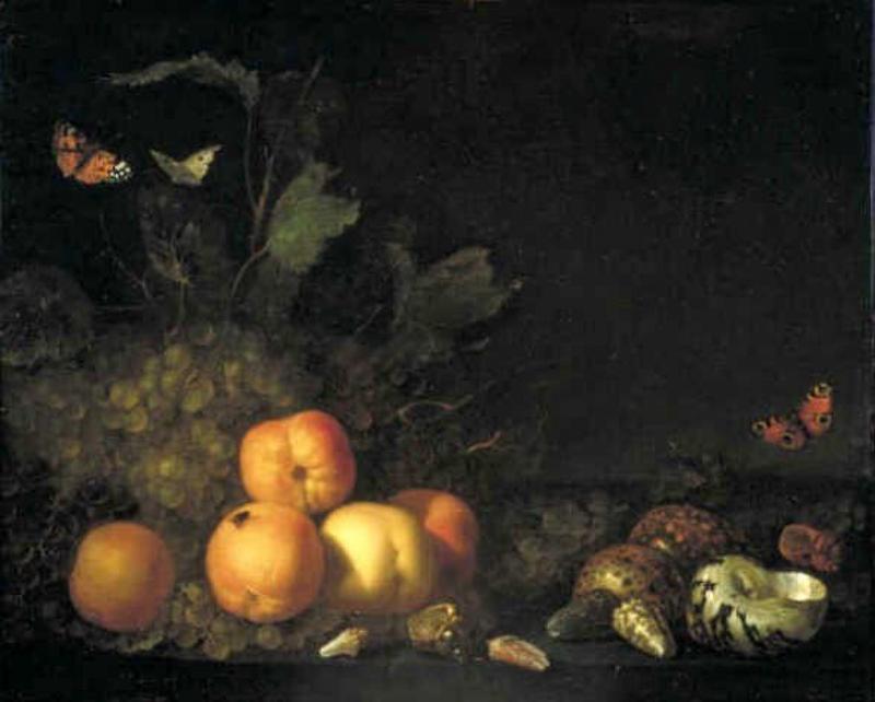 Stilleven met vruchten en schelpen