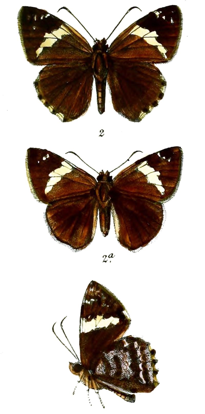 AchalarusCasyapa 756 2