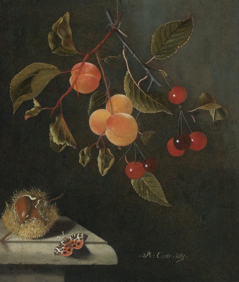 Dutch: Stilleven met abrikozen, kersen en een walnoot Still life with a butterfly, apricots, cherries and a chestnut label QS:Len,"Still life with a butterfly, apricots, cherries and a chestnut" label QS:Lnl,"Stilleven met een vlinder, abrikozen, kersen en een kastanje"