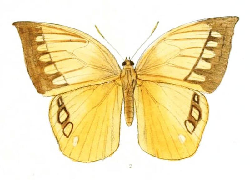 AemonaLena165 2