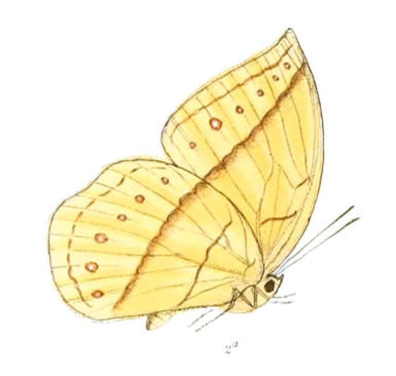 AemonaLena165 2a