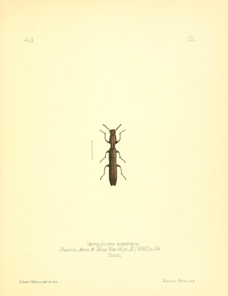 Aid to the identification of insects (Plate 101) (7796326868)