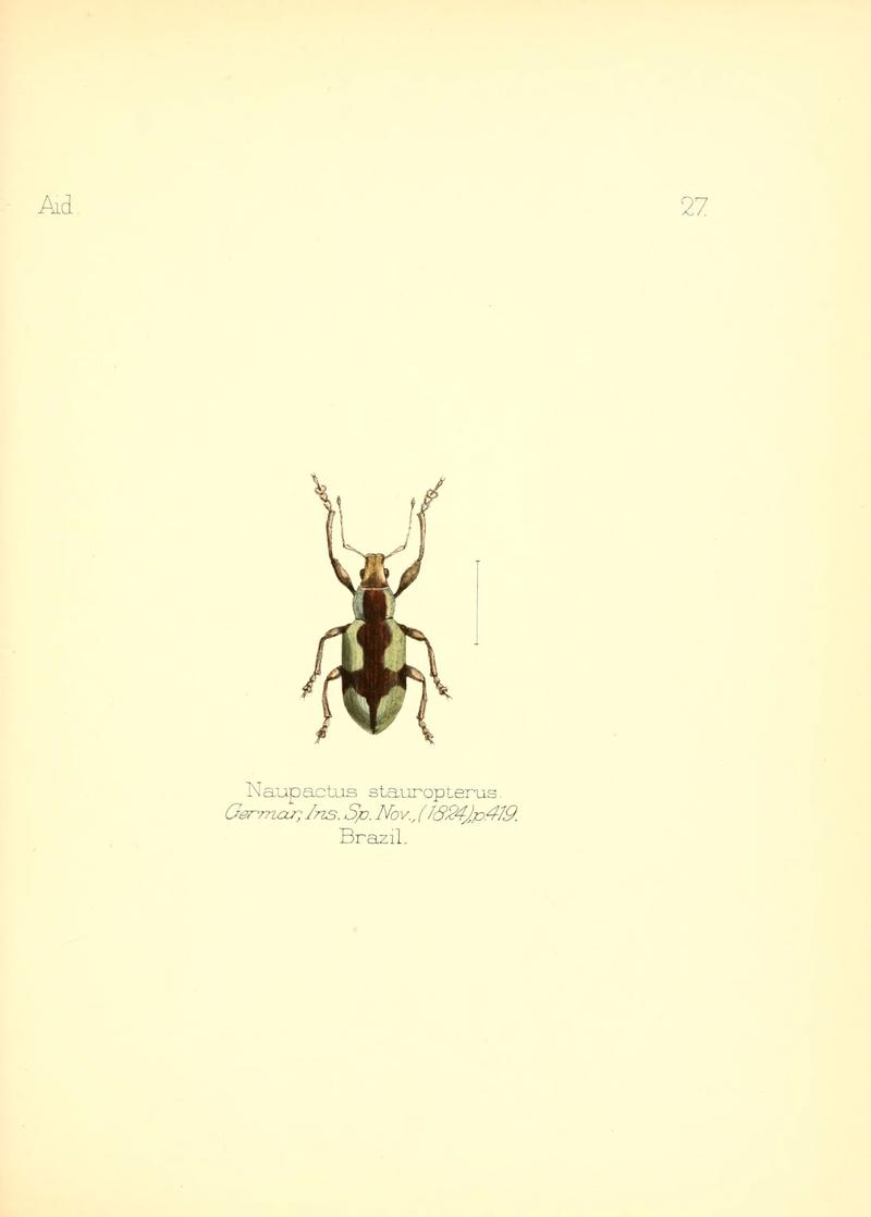 Aid to the identification of insects (Plate 27) (6025819407)