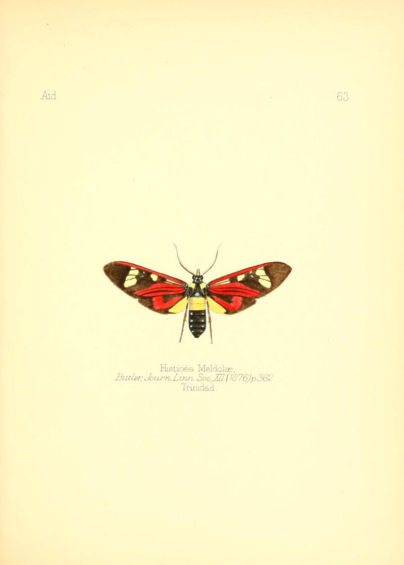 Aid to the identification of insects (Plate 63) (6025829539)