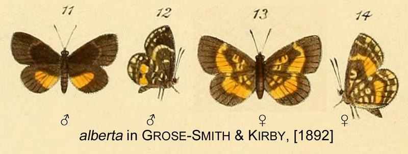 Alberta inGSK1892