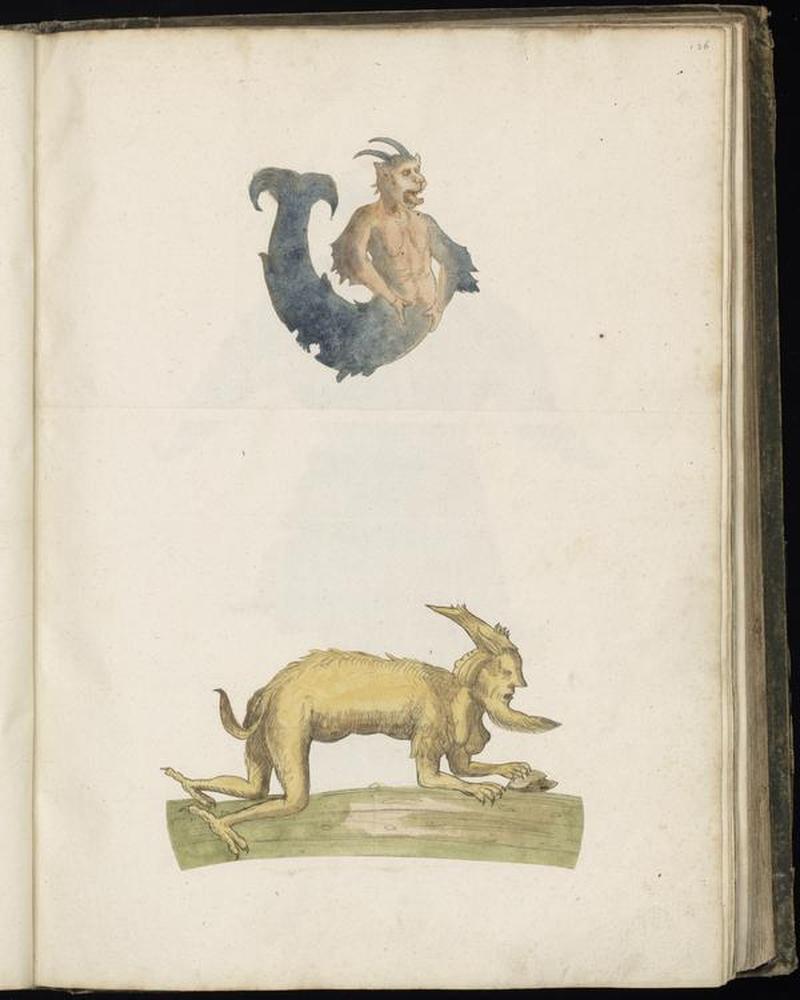 Animal drawings collected by Felix Platter, p1 - (29)