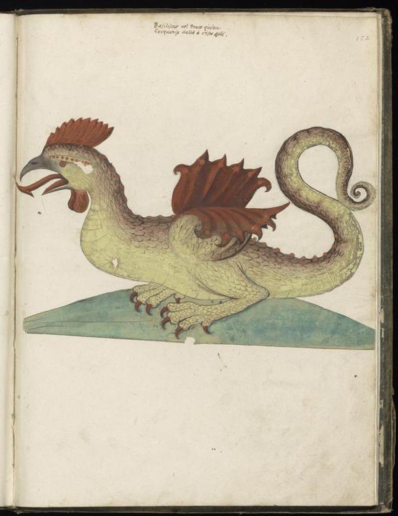 Animal drawings collected by Felix Platter, p2 - (80)
