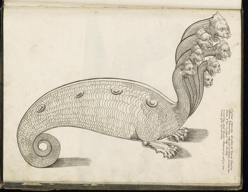Animal drawings collected by Felix Platter, p2 - (81)