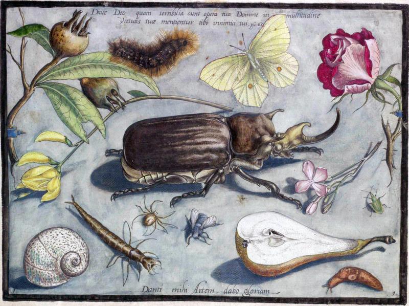 Archetypa studiaque Part1 Plate01