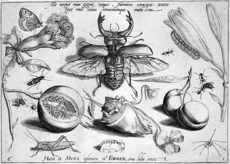 Archetypa studiaque Part1 Plate06bw