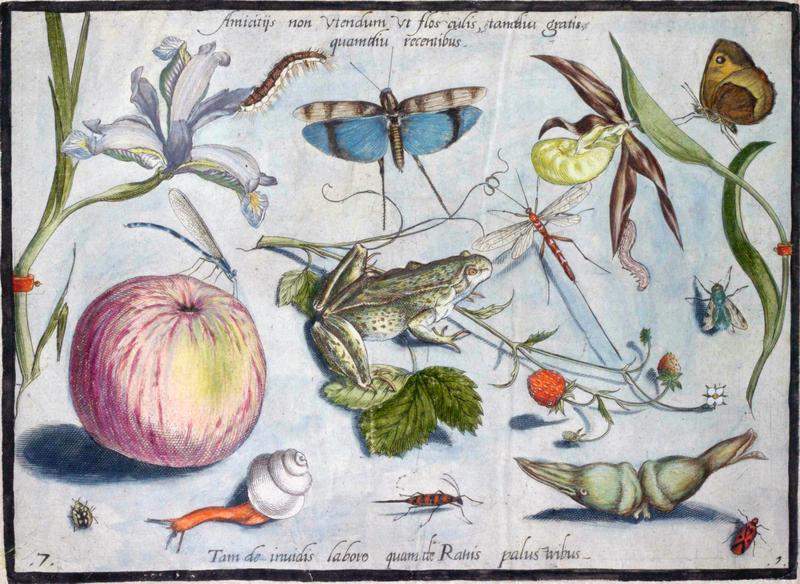 Archetypa studiaque Part1 Plate07