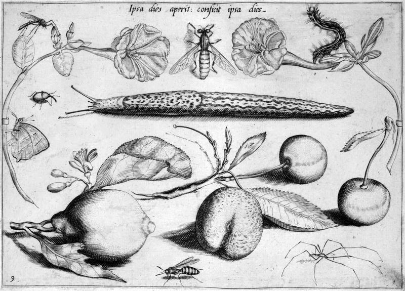 Archetypa studiaque Part1 Plate09bw