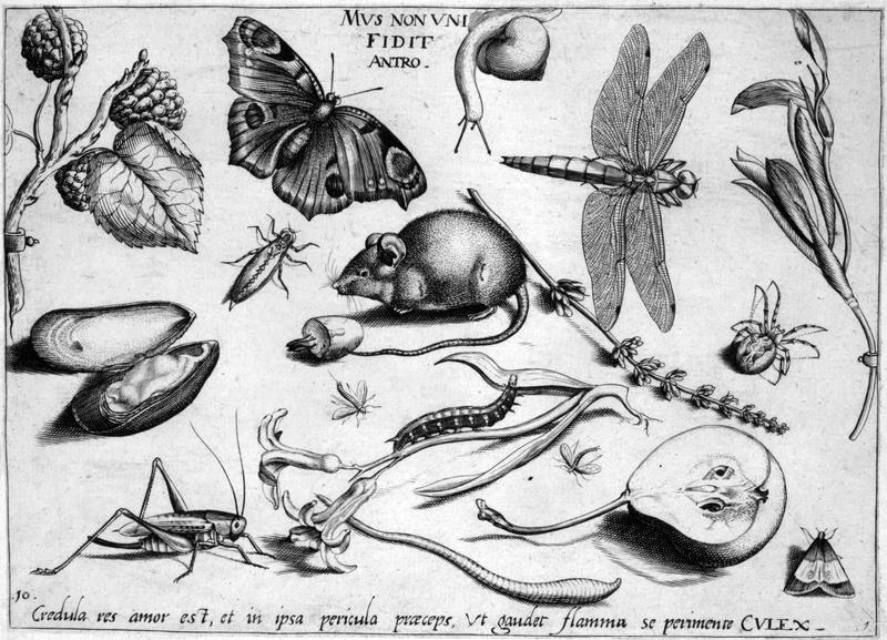 Archetypa studiaque Part1 Plate10bw