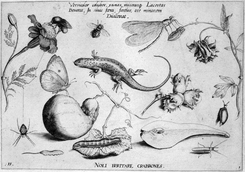 Archetypa studiaque Part1 Plate11bw