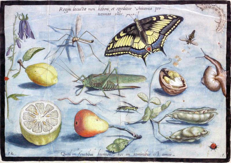 Archetypa studiaque Part1 Plate12