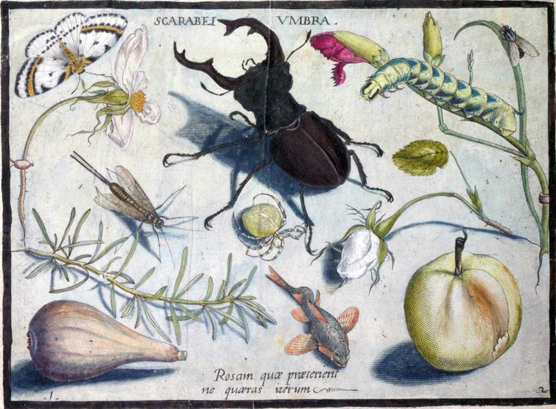 Archetypa studiaque Part2 Plate01