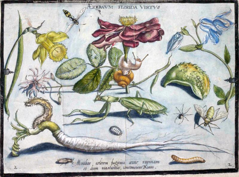 Archetypa studiaque Part2 Plate02