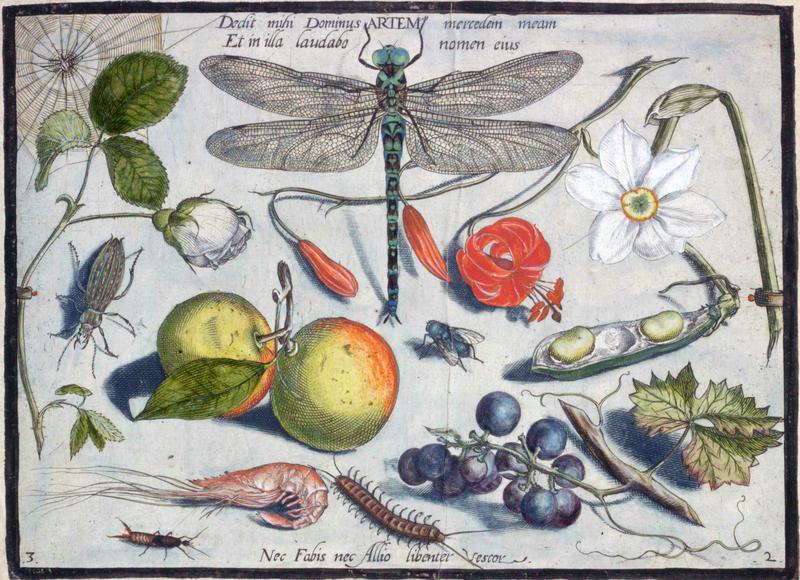 Archetypa studiaque Part2 Plate03