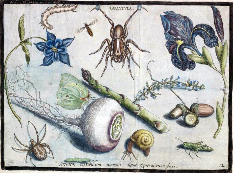 Archetypa studiaque Part2 Plate04
