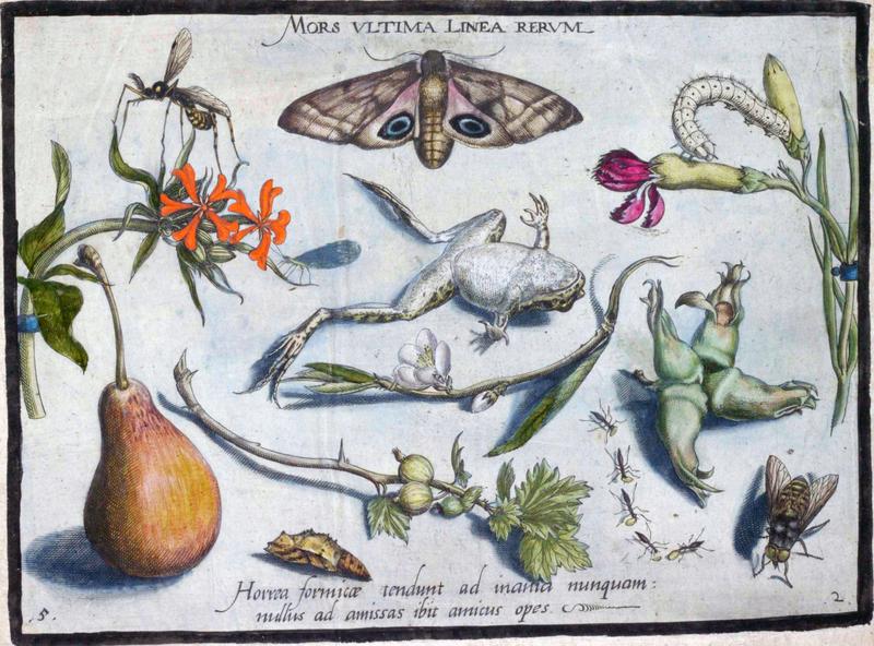 Archetypa studiaque Part2 Plate05