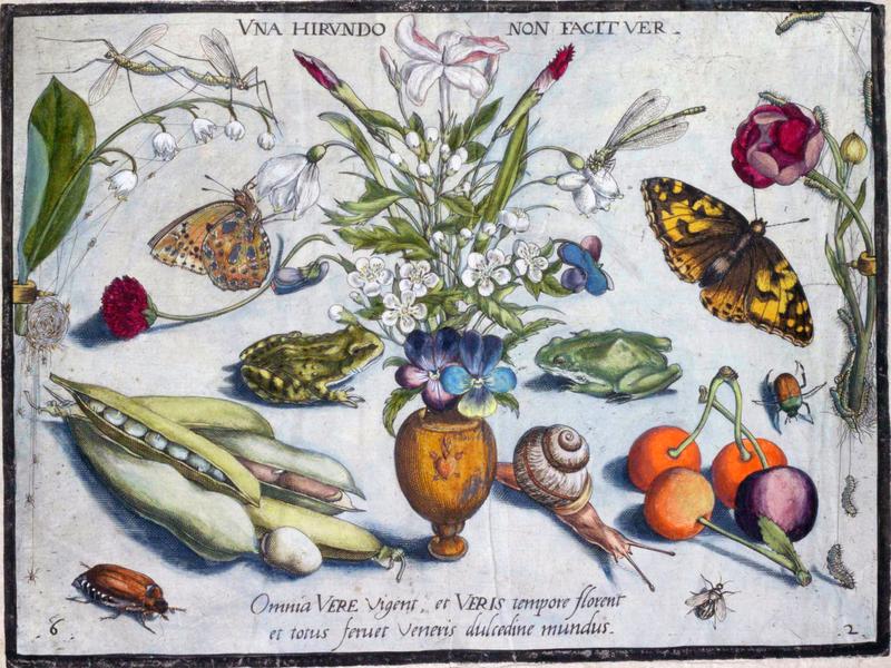 Archetypa studiaque Part2 Plate06