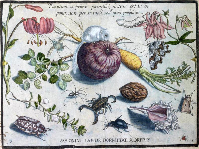 Archetypa studiaque Part2 Plate07