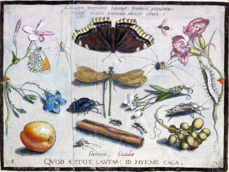 Archetypa studiaque Part2 Plate09