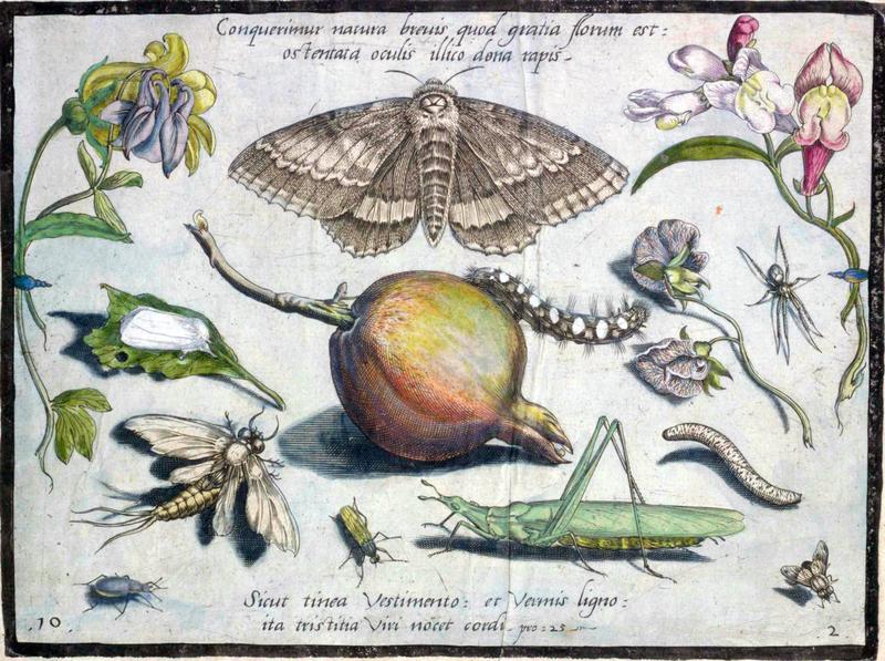 Archetypa studiaque Part2 Plate10