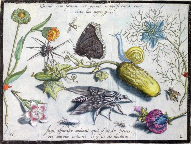 Archetypa studiaque Part2 Plate11