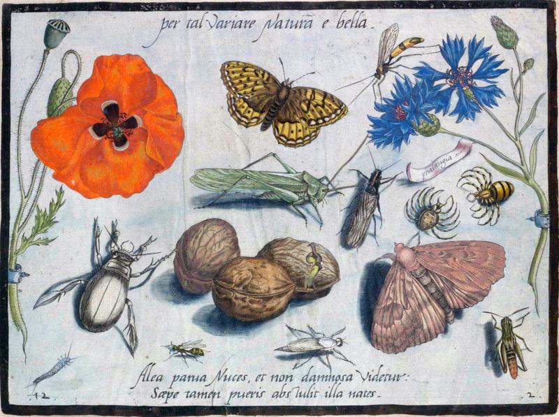 Archetypa studiaque Part2 Plate12