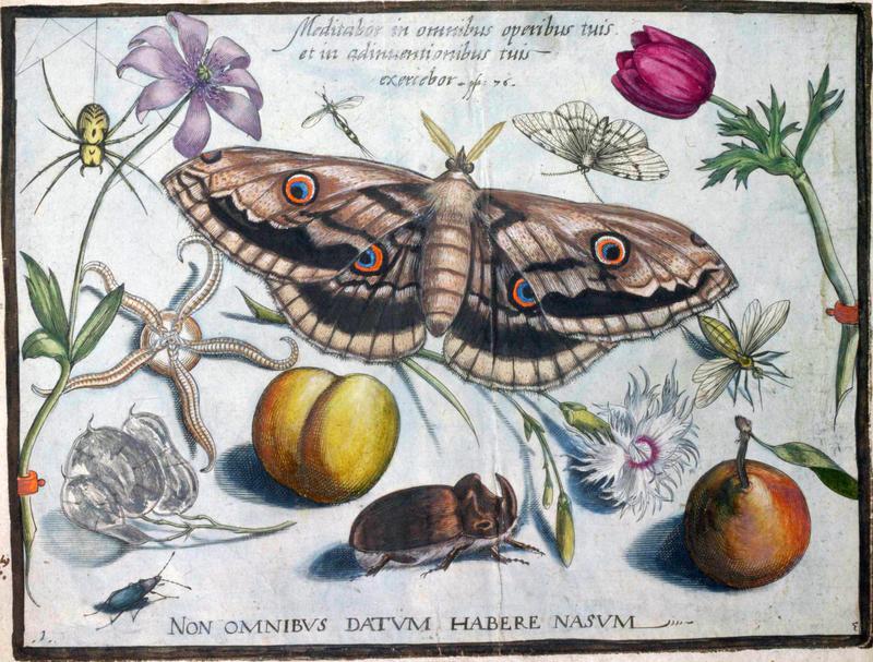 Archetypa studiaque Part3 Plate01