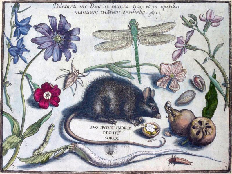 Archetypa studiaque Part3 Plate02