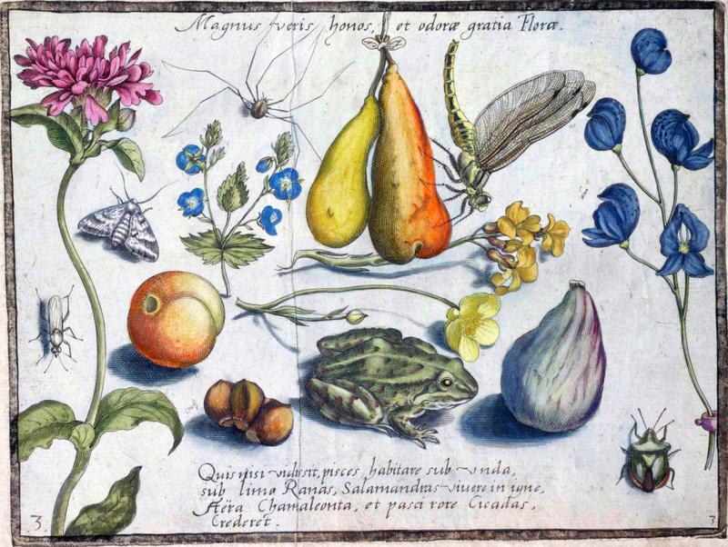 Archetypa studiaque Part3 Plate03
