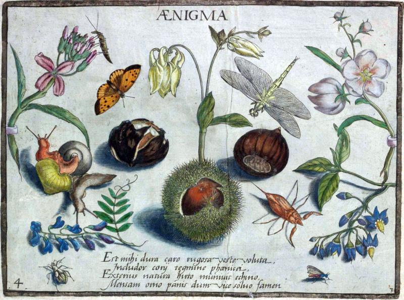 Archetypa studiaque Part3 Plate04