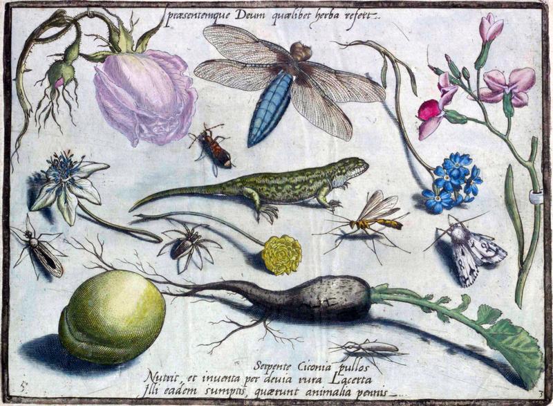 Archetypa studiaque Part3 Plate05