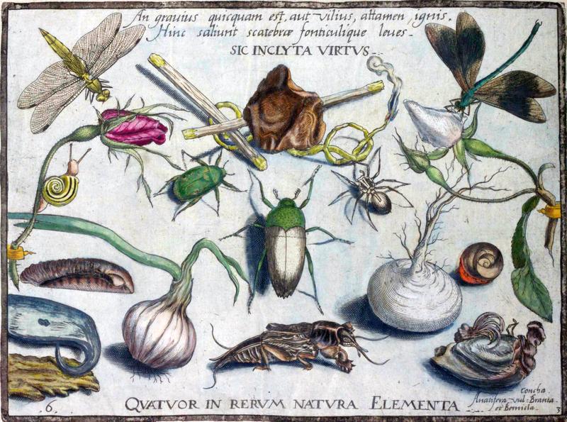 Archetypa studiaque Part3 Plate06